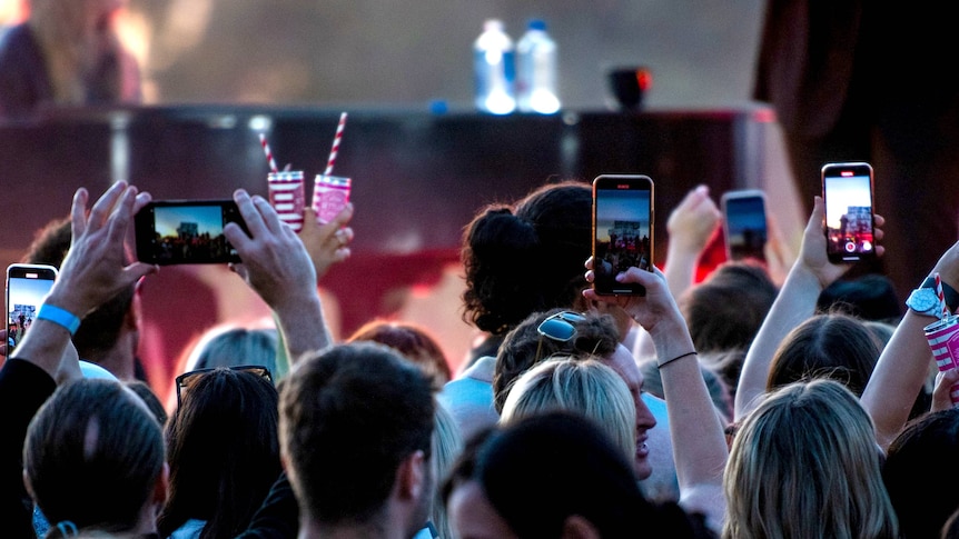 Audience members at a Sam Smith concert at d'Arenberg winery.