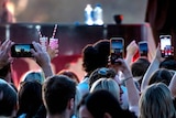 Audience members at a Sam Smith concert at d'Arenberg winery.