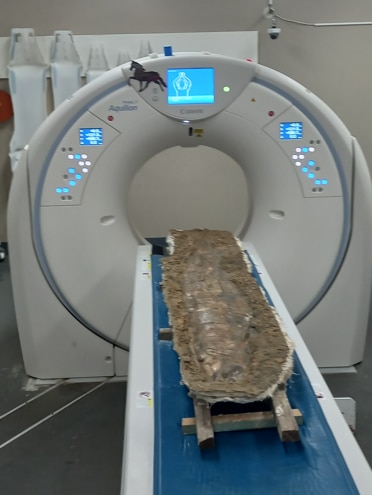 fossil going into catscan