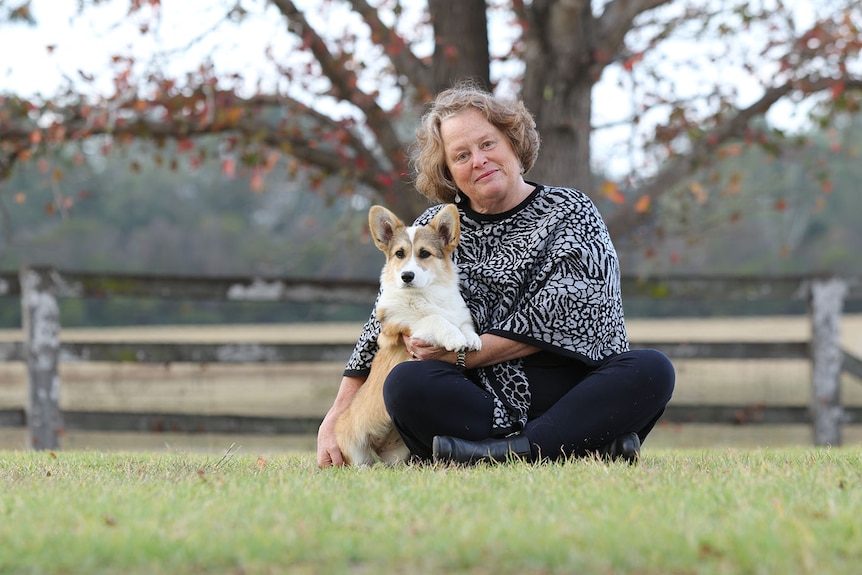 A woman sits on green grass in a field, standing on her lap is a white and farm corgi. 