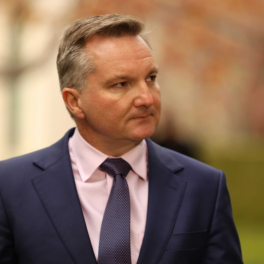 Chris Bowen looks into the distance at a press conference with autumn colours behind him