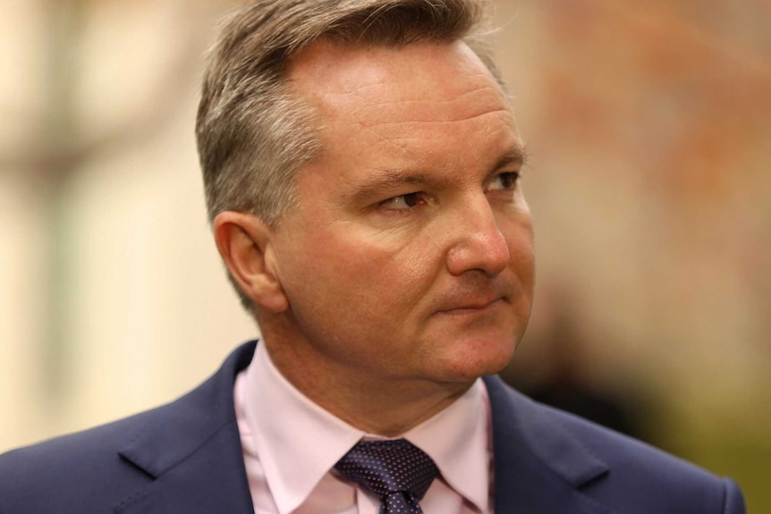 Chris Bowen looks into the distance at a press conference with autumn colors behind him