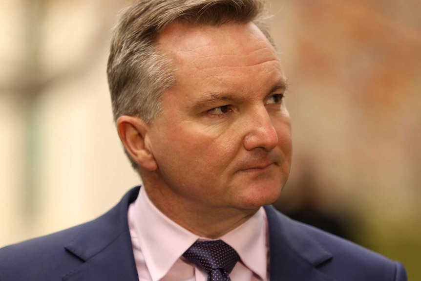 Chris Bowen looks into the distance at a press conference with autumn colours behind him