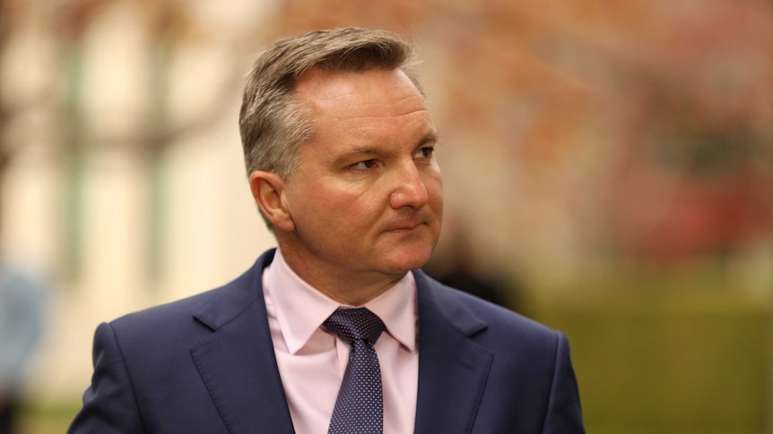 Chris Bowen looks into the distance at a press conference with autumn colours behind him