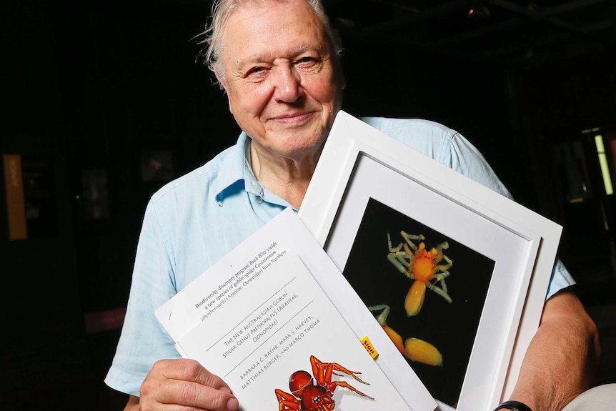 David Attenborough with a photograph of the prethopalpus attenboroughi spider
