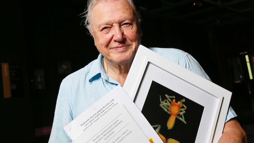 David Attenborough with a photograph of the prethopalpus attenboroughi spider