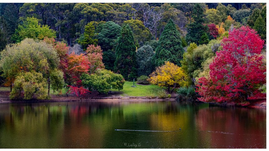 botanic gardens with large water mass in foreground, leaves on trees are red orange yellow and green