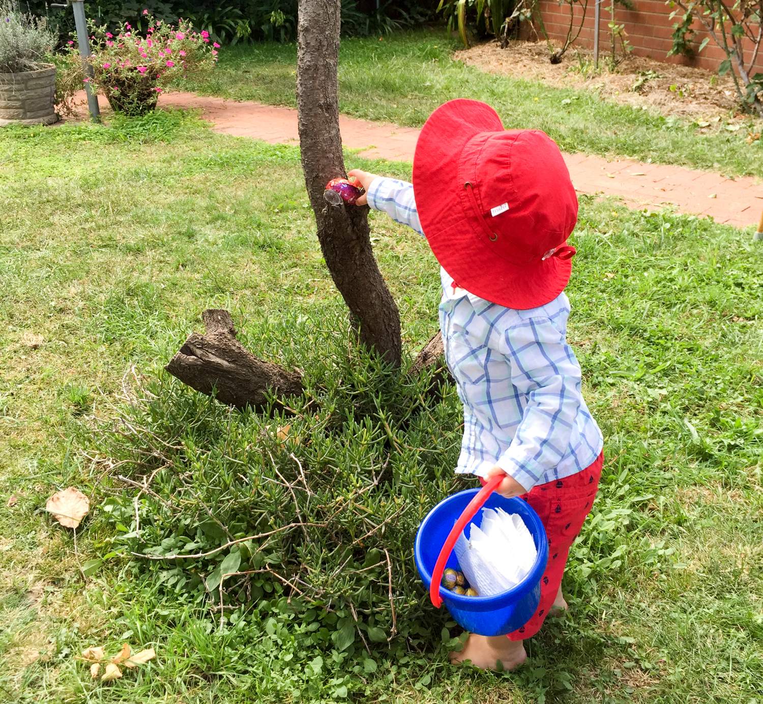 A boy collecting eggs during an Easter egg hunt