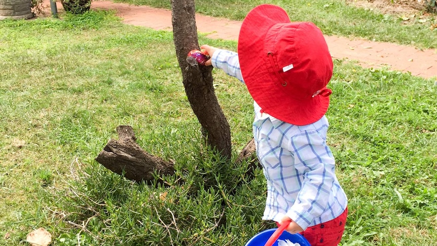 A boy collecting eggs during an Easter egg hunt