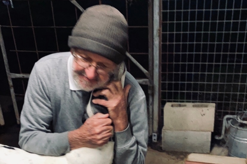 older man hugs white dog