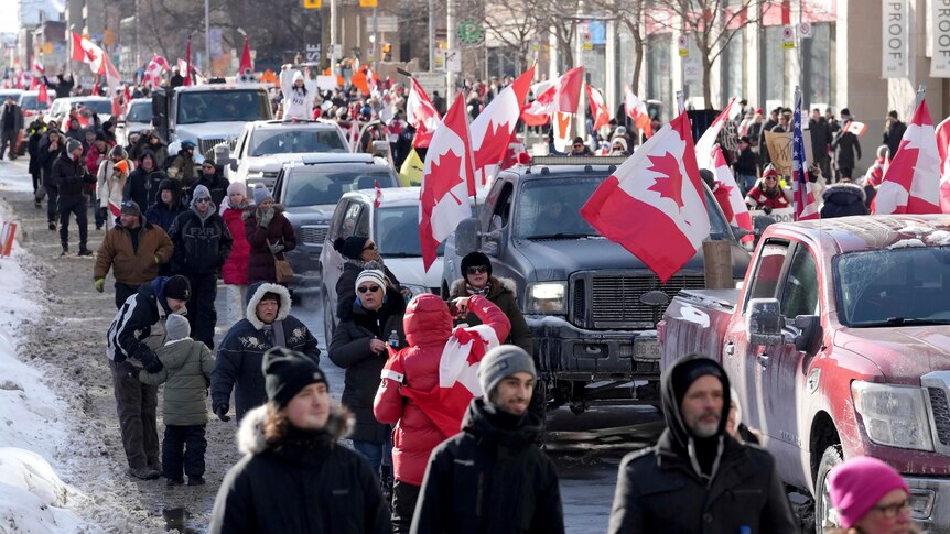 Trucks and supporters travel down a street flying Canadian flags