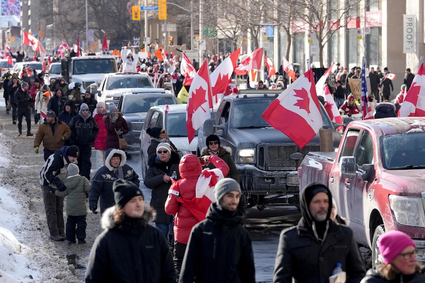 Trucks and supporters travel down a street flying Canadian flags