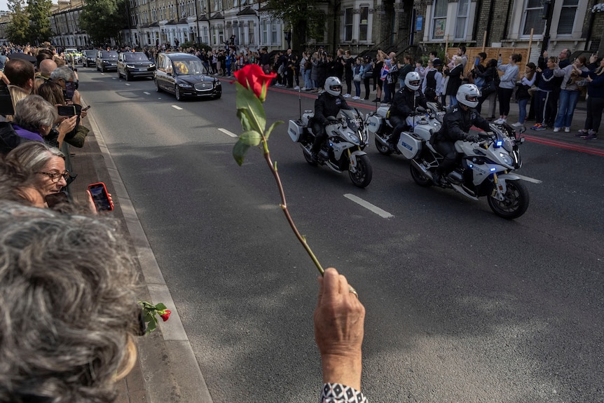 A person holds a red rose leaning over a barricade to throw at an upcoming vehicle.