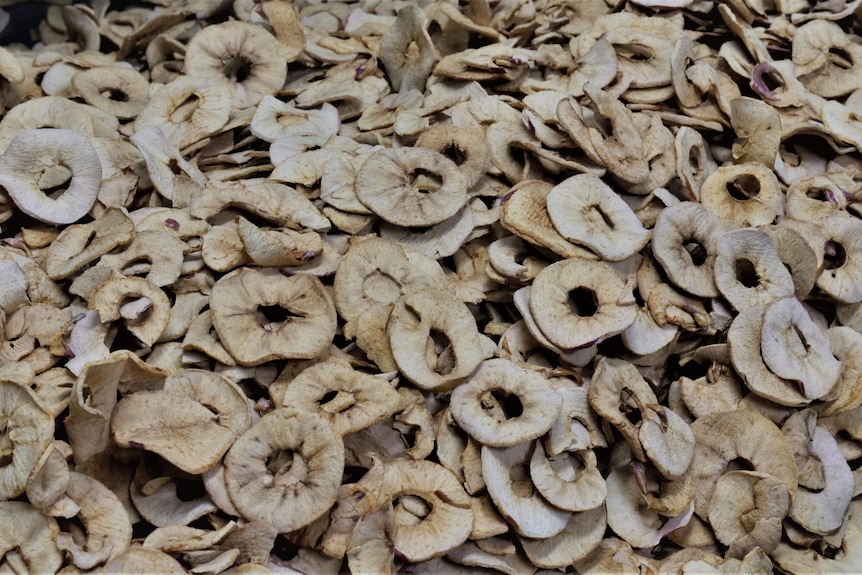 Slices of apples that have been dehydrated 
