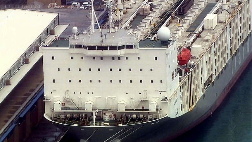 An aerial shot of a live export ship at port.
