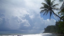 Beach and palm trees in Tahiti