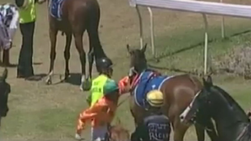 Jockey suspended for striking horse