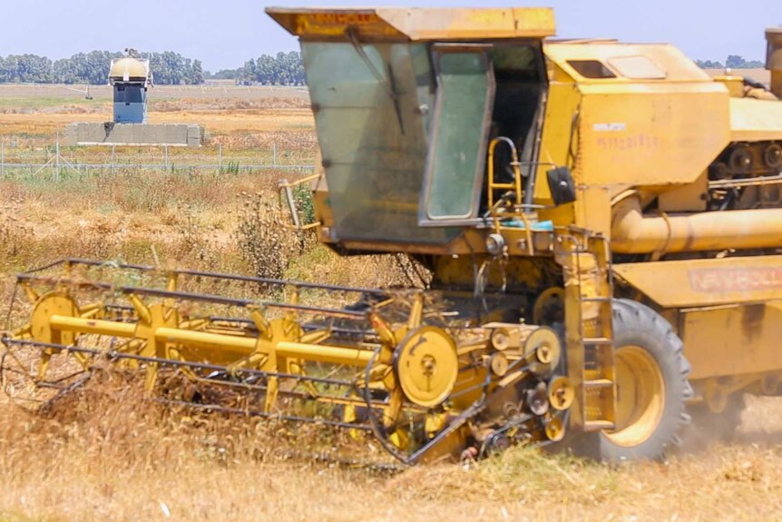A tractor works the field on the Gaza Strip