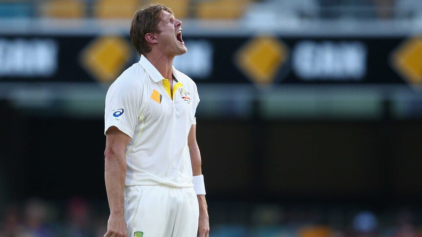 Watson shows his strain after LBW appeal turned down