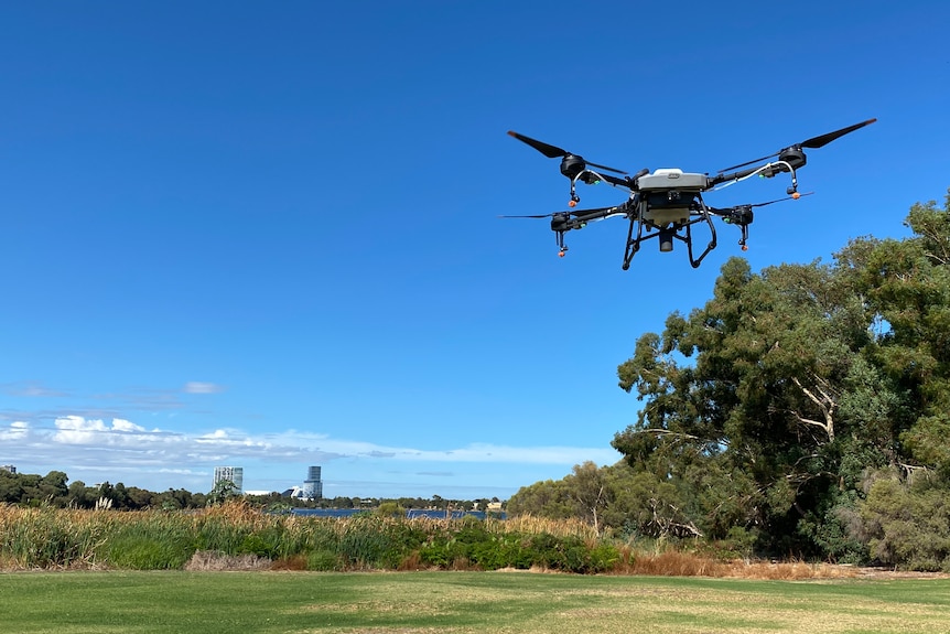 drones flying in maylands 