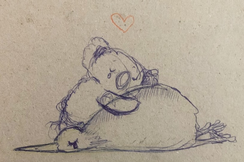 A drawing of a koala hugging a sleeping kiwi