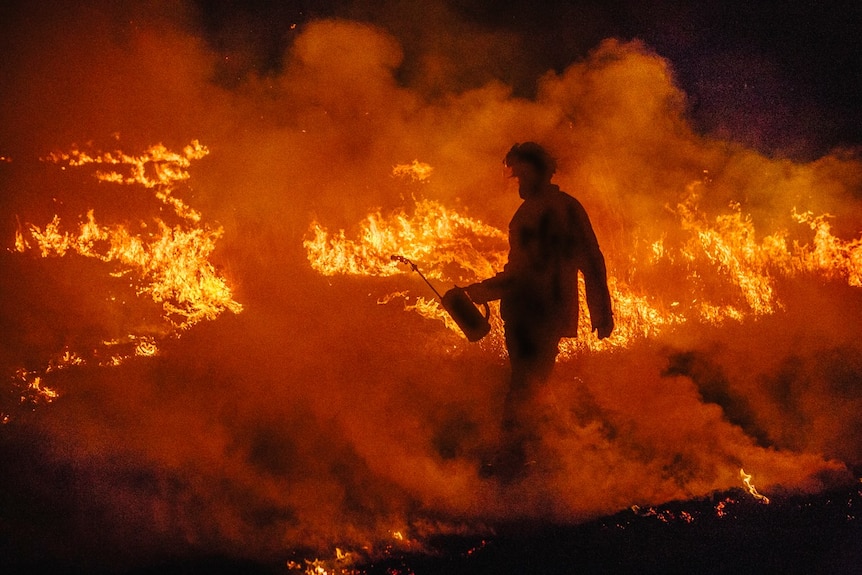 A  man with a petrol can conducts backburning, he is a silhouette as a fire burns behind him.