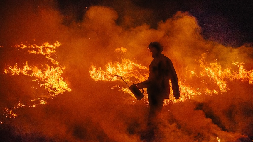 A firefighter with a can conducts backburning- he is a silhouette as a bushfire burns behind him.