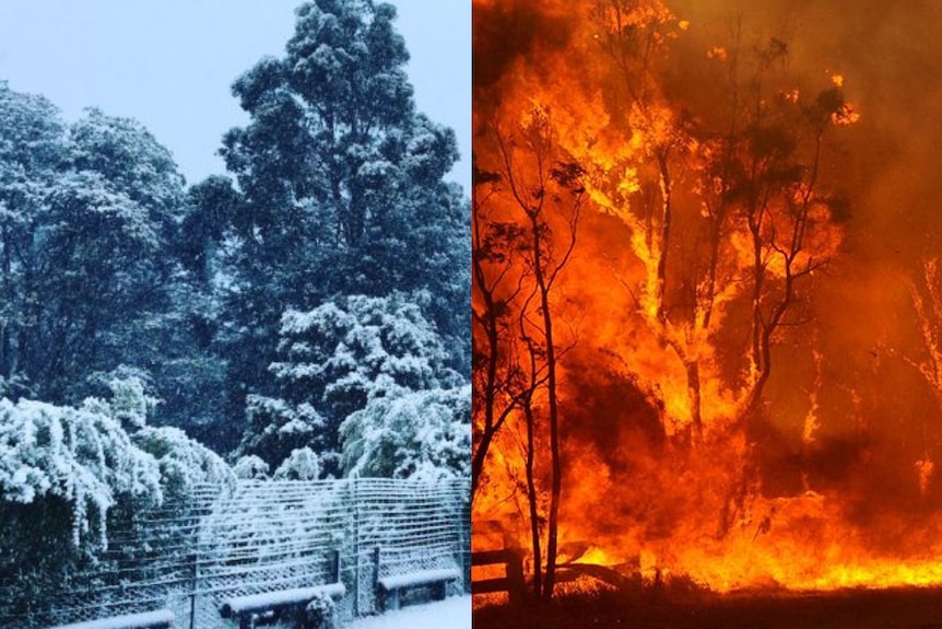 Snow bushfire composite