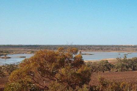 Banrock Station wetland in SA's Riverland
