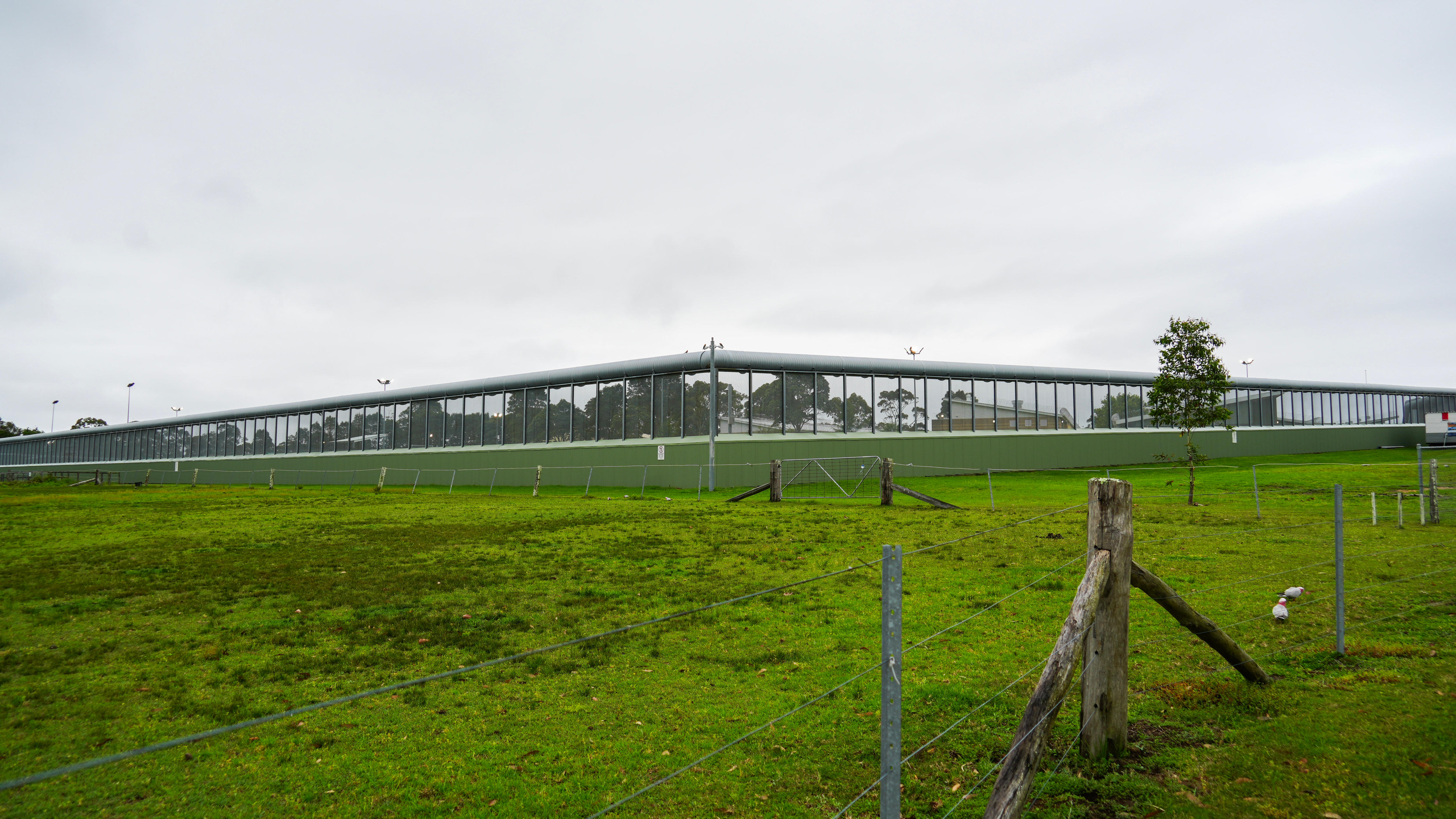 Barbed wire fence around a green field. There is a brick perimeter wall in the background.