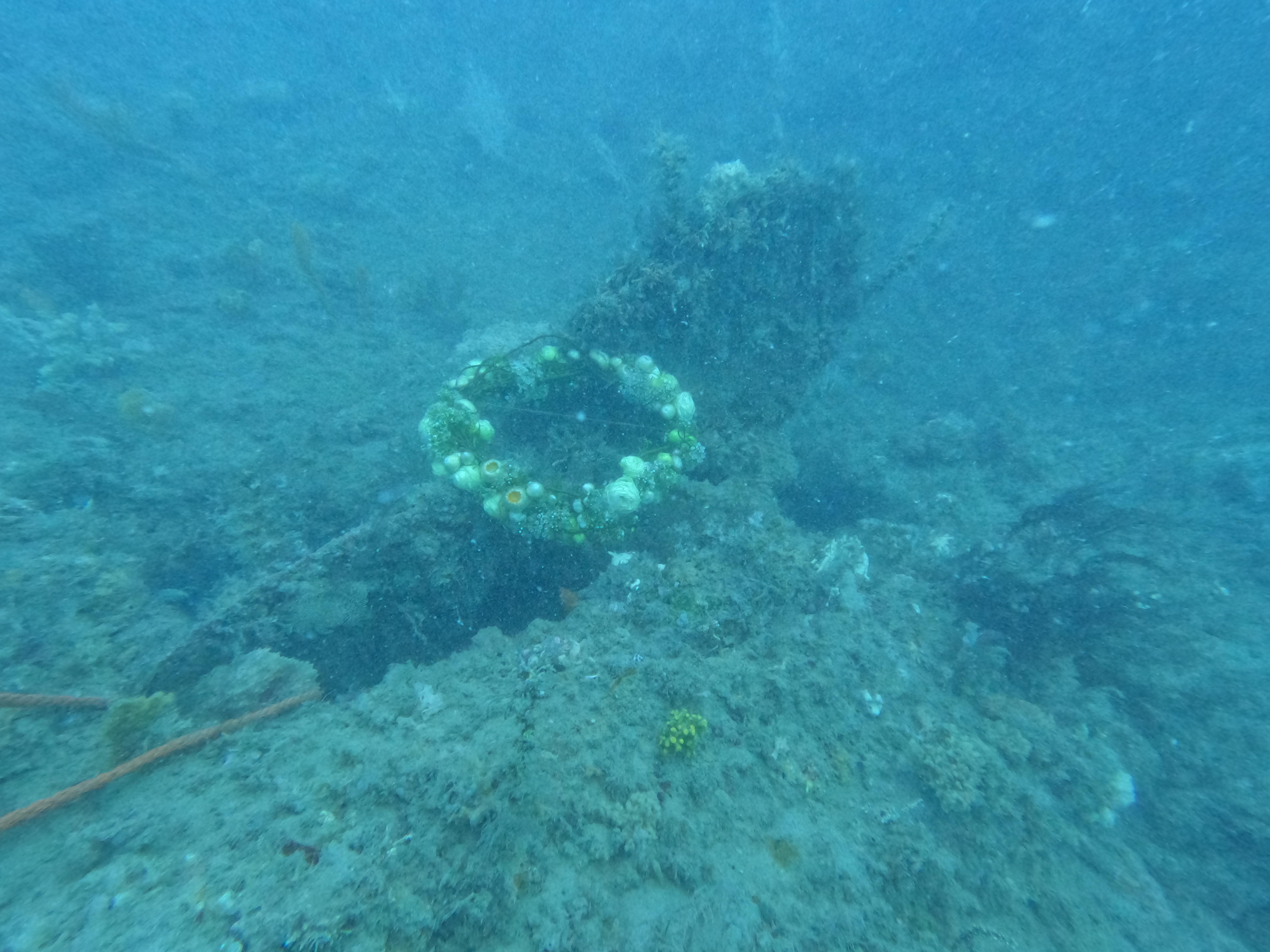 an underwater wreath at a shipwreck