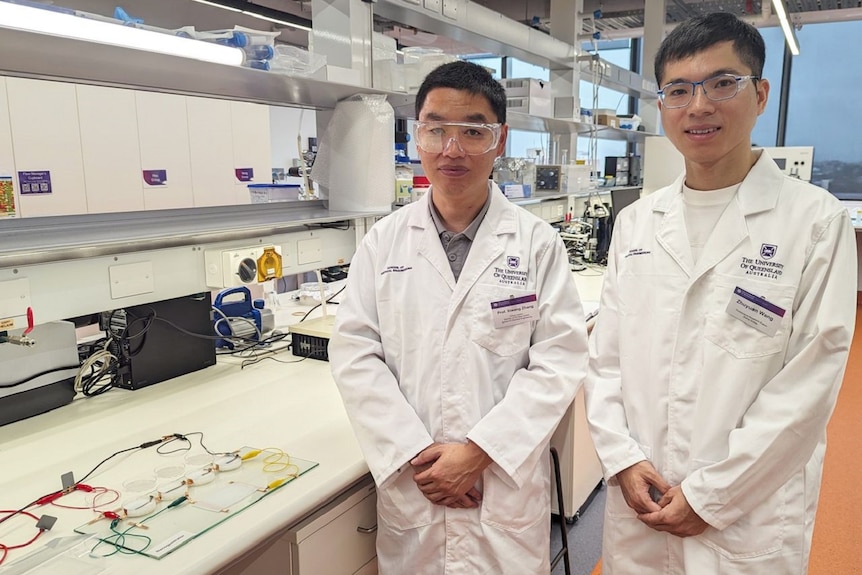 UQ researchers Professor Xiwang Zhang (L) and Dr Zhuyuan Wang