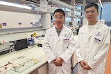 UQ researchers Professor Xiwang Zhang (L) and Dr Zhuyuan Wang