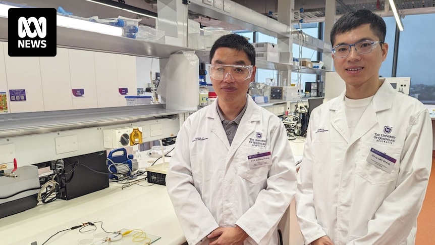 Queensland researchers create device that consumes carbon dioxide and generates electricity