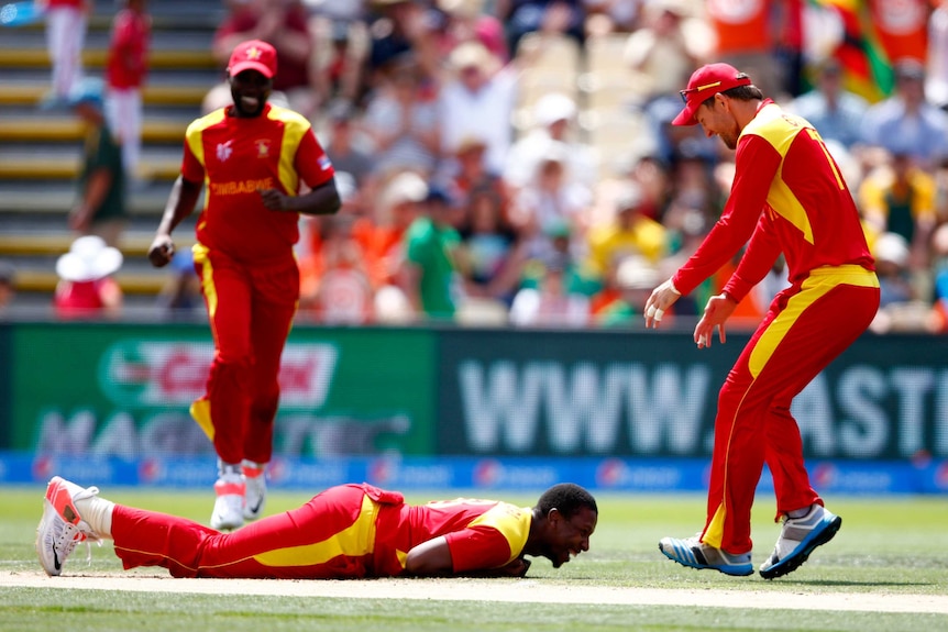 Panyangara celebrates Amla dismissal