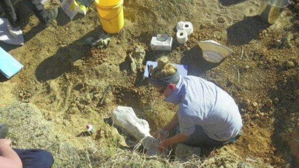 Teenage girl squats in archaeological dig site