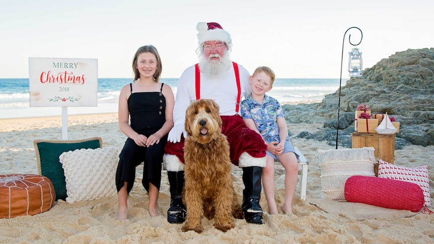 Santa on the Beach with family and dog.