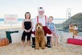 Santa on the Beach with family and dog.