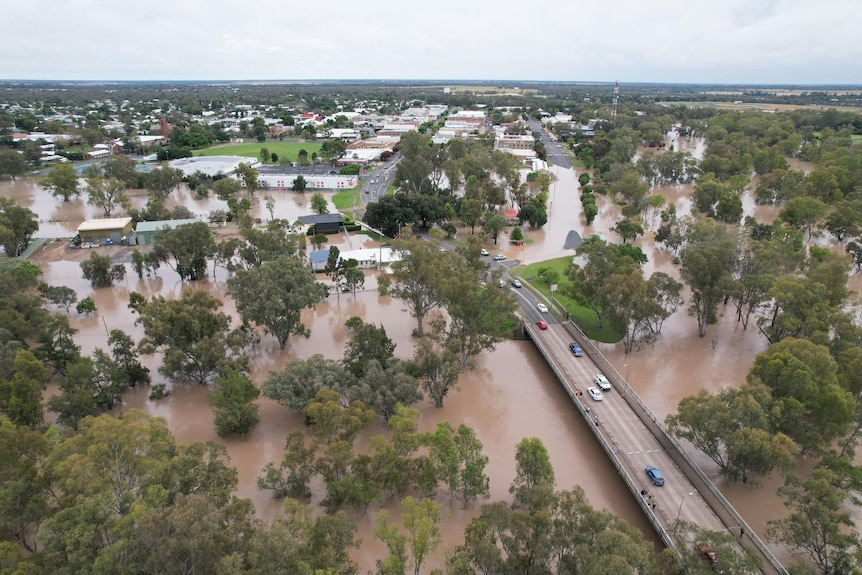 An image of brown flood water and an inundated township surrounding a large bridge