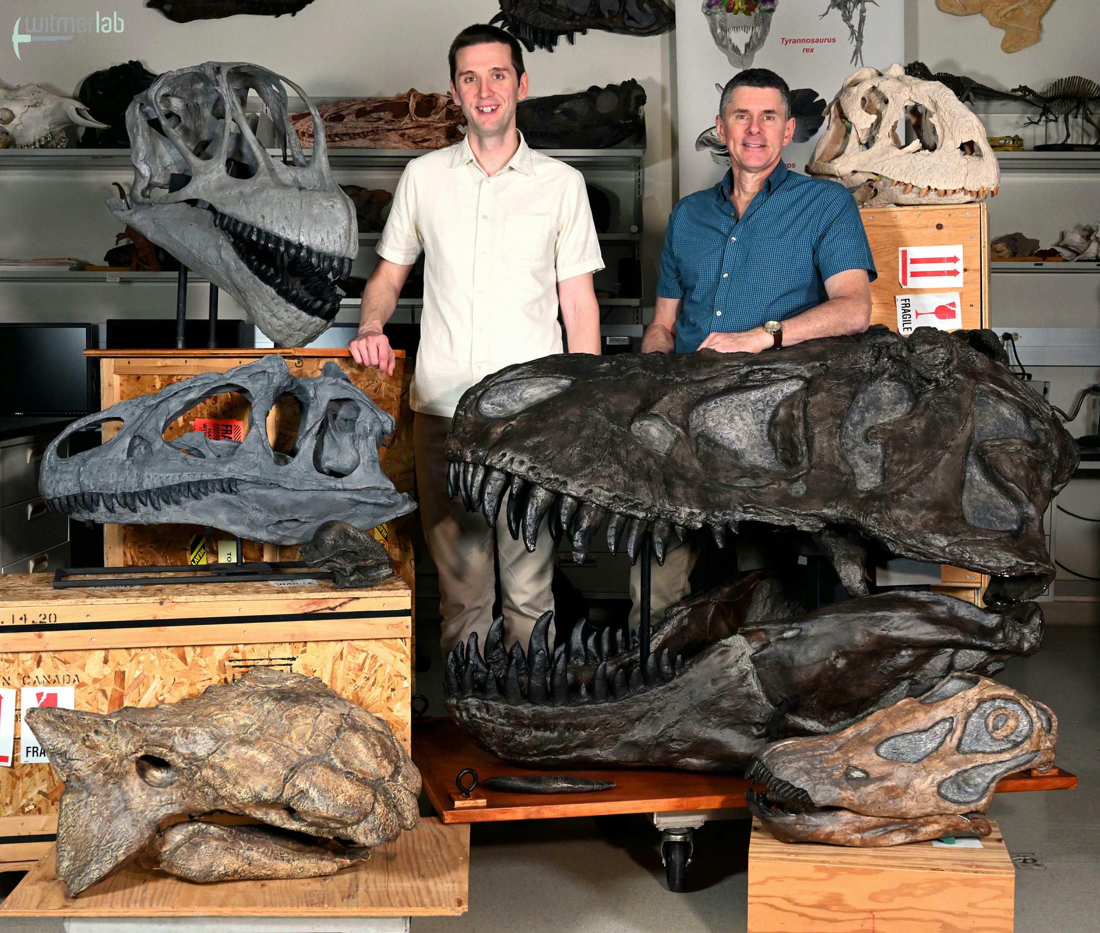 Huge Dinosaurs Evolved Different Cooling Strategies To Prevent Their ...