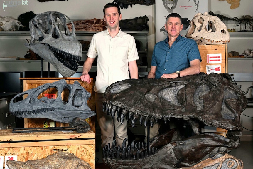 The two authors of the new dinosaur brain-cooling study—Ruger Porter and Lawrence M. Witmer surrounded by dinosaur skulls