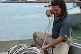 Captured crocodile tied up on wharf at Townsville on October 31, 2008.