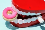 Plastic teeth surrounded by models of sugary treats.