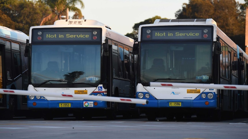 Empty buses at Sydney's Tempe bus depot stand idle during industrial action.