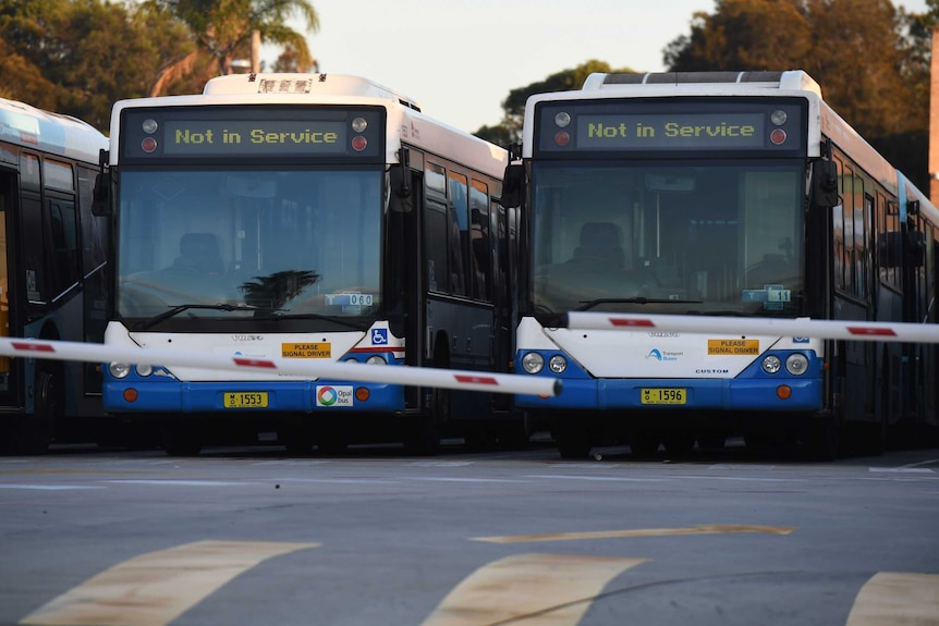 Empty buses at Sydney's Tempe bus depot stand idle during industrial action.