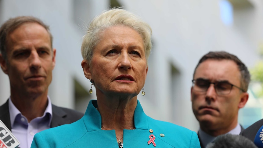 Kerryn Phelps wearing a blue jacket with a red ribbon pin addresses the media with crossbench MPs behind her