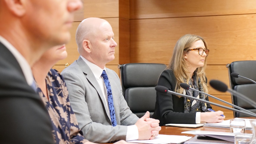 A man in a grey suit and a woman in a black suit sitting at a table at a parliamentary hearing