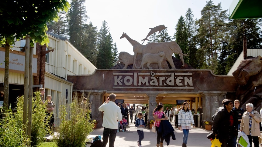 Visitors leave the Kolmarden Wildlife Park outside Norrkoping, Sweden.