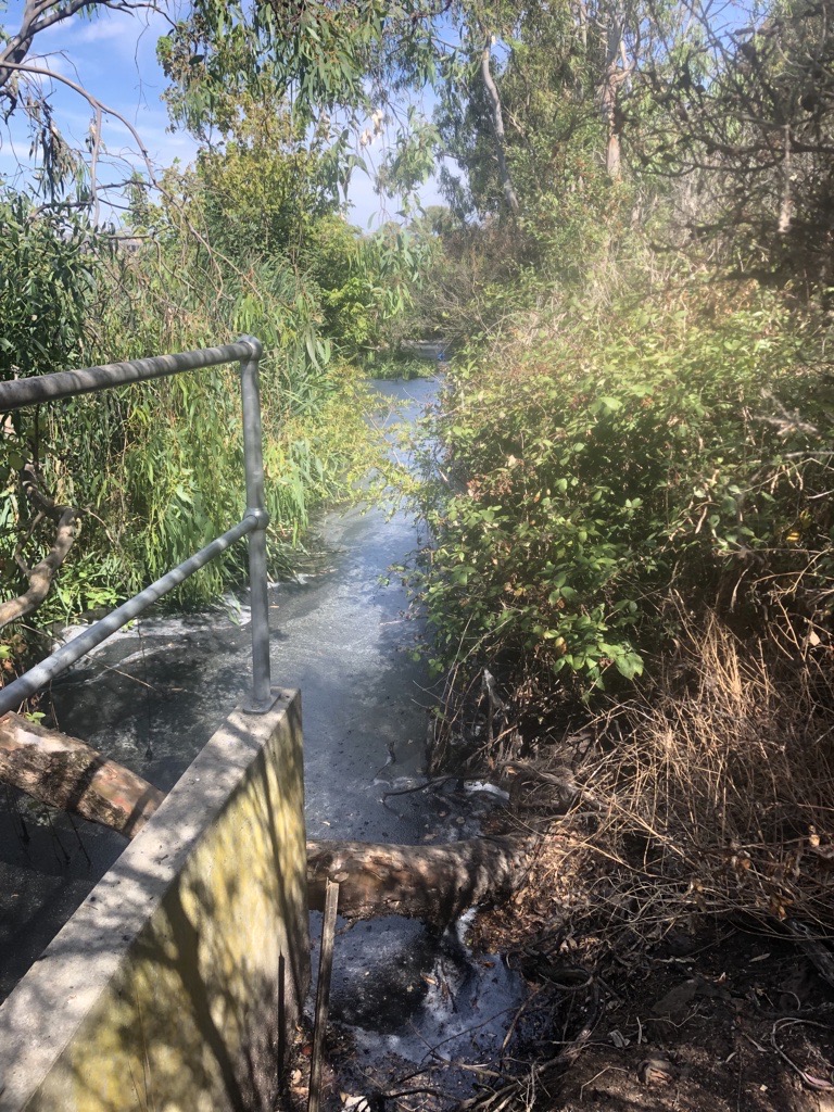 A narrow water channel surrounded by vegetation and railings in the foreground