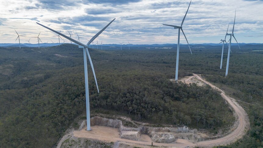 An aerial image of more than a dozen wind turbines. They are surrounded by dense bush. Unsealed roads join some of the turbines.